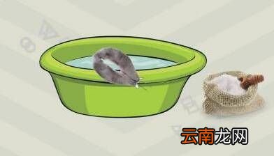 大衣毛領子如何清洗，衣服上的毛領怎么清潔
