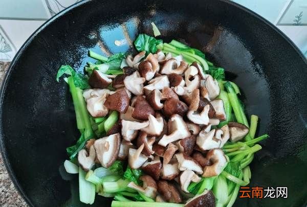 炒油菜怎么做，怎么做油菜炒香菇好吃