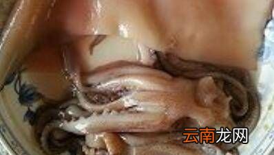 怎么炒鮮魷魚，炒魷魚絲怎么炒好吃又嫩
