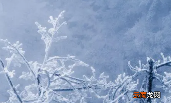 大寒后面是什么節(jié)氣，大寒下一個(gè)節(jié)氣是什么節(jié)氣