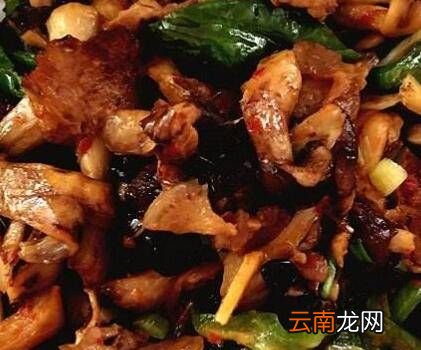怎么炒干蘑菇，紅菇干怎么燒好吃