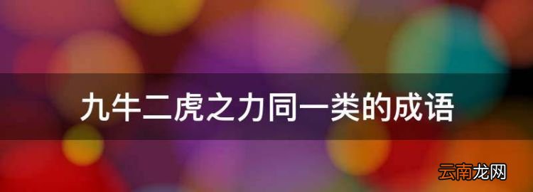 九牛二虎之力同一類的成語，九牛二虎之力類似成語寫四個(gè)