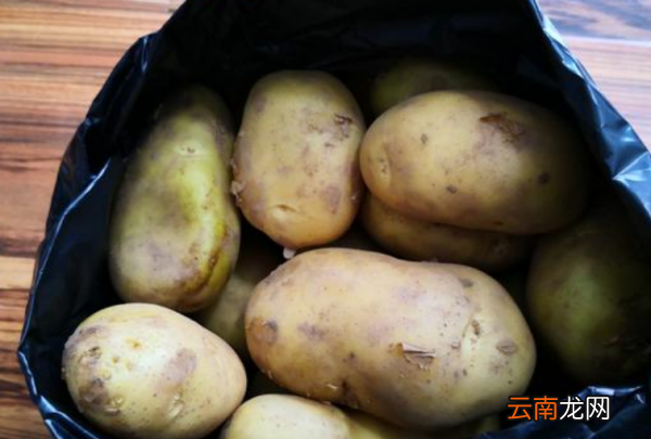 冬季樓房如何儲(chǔ)存土豆，冬天土豆儲(chǔ)存方法和溫度