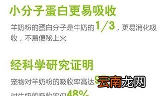 可以給貓喂牛奶