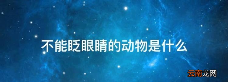 不能眨眼睛的動物是什么