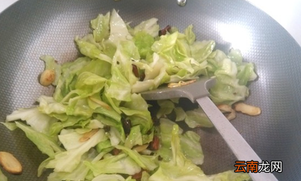 怎么炒圓白菜好吃
