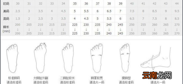 4碼的腳是多少厘米，43碼的鞋是多少厘米
