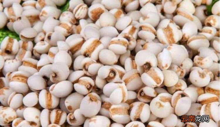薏米紅豆怎么炒，紅豆薏米怎么炒熟