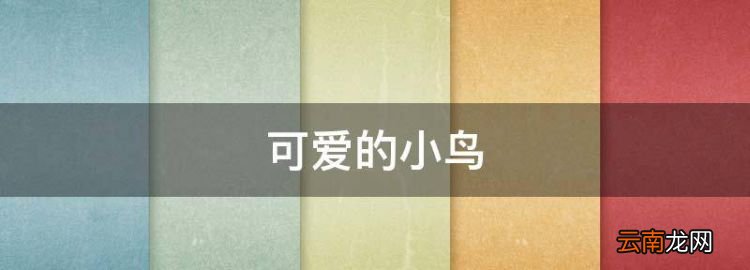 可愛(ài)的小鳥(niǎo)，小鳥(niǎo)在樹(shù)上唱歌仿寫(xiě)擬人句