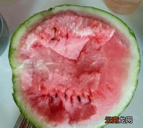 西瓜沒熟可以吃嗎，西瓜切開沒熟怎么辦