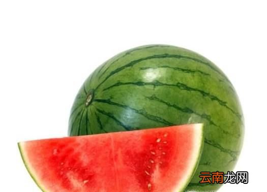 夏季解暑的幾種食物
