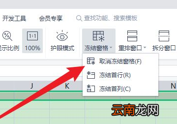 excel不能篩選的原因是什么