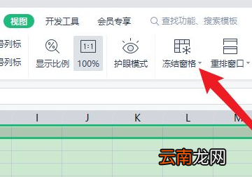 excel不能篩選的原因是什么