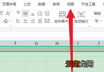 excel不能篩選的原因是什么