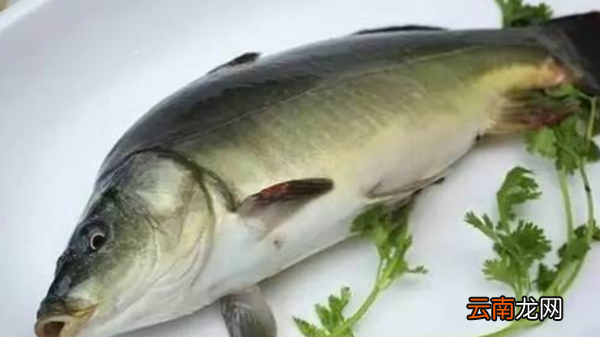 裸斑魚有刺，綿陽龍門蔬菜批發(fā)市場