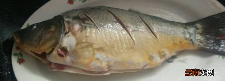 裸斑魚有刺，綿陽龍門蔬菜批發(fā)市場
