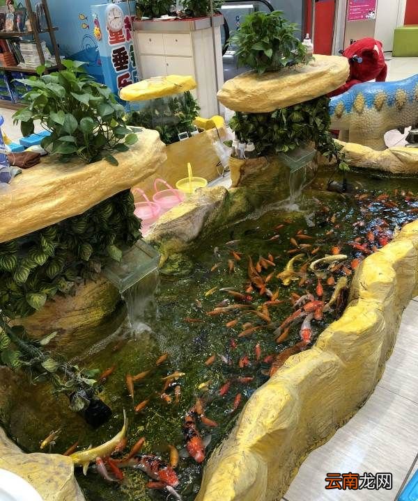 裸斑魚有刺，綿陽龍門蔬菜批發(fā)市場