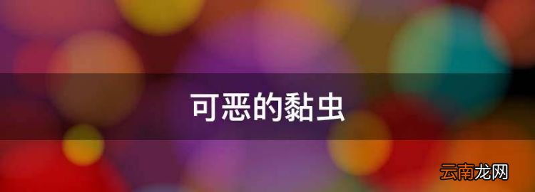 可惡的黏蟲，下雨后房間有很多飛蟲
