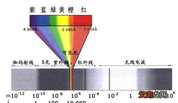 可見光按波長從大到小排序為