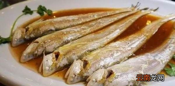 刀魚和帶魚一樣，刀魚和帶魚是同一種魚