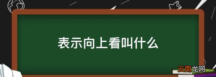 表示向上看叫什么，抬頭向上看的看的詞語是什么意思