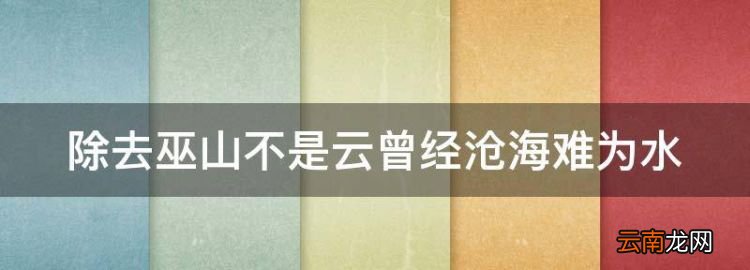 除去巫山不是云曾經(jīng)滄海難為水是什么意思