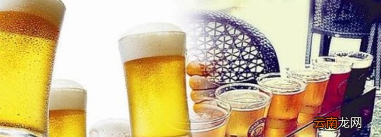九度啤酒多少度，9度啤酒酒精度數(shù)多少度