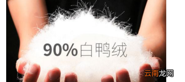 90%白鴨絨是什么意思，90白鴨絨是什么檔次?
