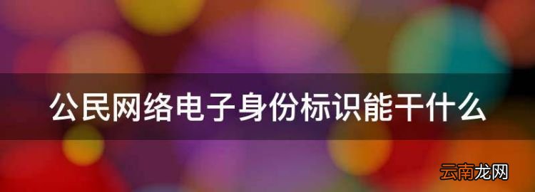 電子身份證有什么用，公民網(wǎng)絡(luò)電子身份標識能干什么