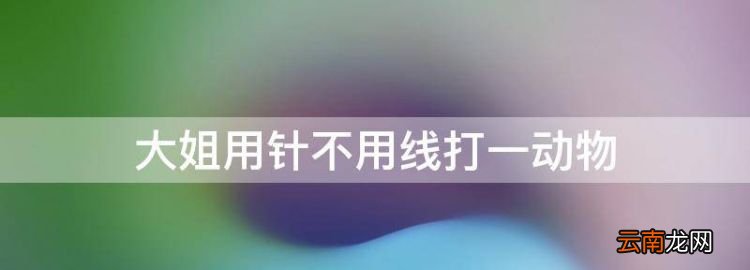 大姐用針不用線打一動物