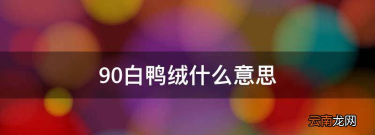 90白鴨絨什么意思