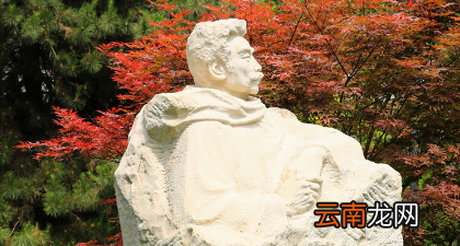 魯迅為什么一再疑心范愛農是自殺