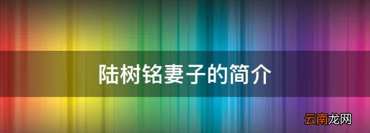 陸樹銘妻子的簡介，陸樹銘前妻是張亞娟嗎