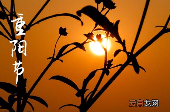 九九重陽(yáng)節(jié)孝敬老人的祝福賀詞