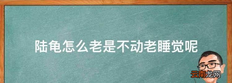 陸龜怎么老是不動老睡覺，烏龜最近特別愛睡覺有問題嗎