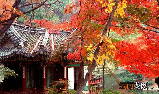 各地重陽節(jié)的習(xí)俗，重陽節(jié)各地的風(fēng)俗簡寫