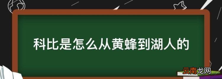 科比是怎么從黃蜂到湖人的，科比什么時(shí)候加入湖人多少年