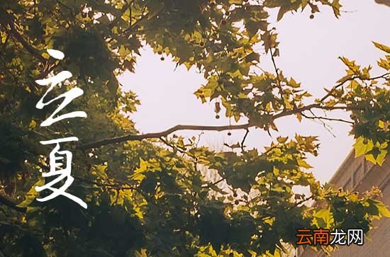 立夏是什么意思含義