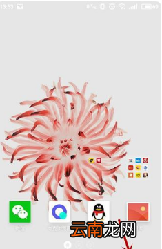大王卡可以開(kāi)熱點(diǎn)，大王卡可以用來(lái)開(kāi)熱點(diǎn)嗎