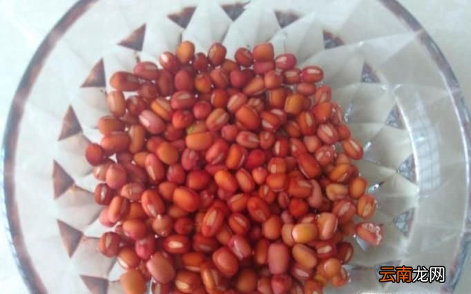 紅豆沙糯米湯圓