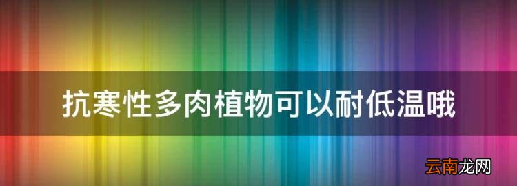 多肉耐寒最低溫度是多少度，抗寒性多肉植物可以耐低溫哦