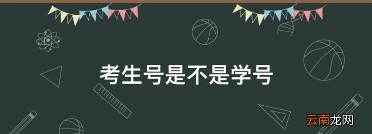考生號(hào)是不是學(xué)號(hào)，考生號(hào)就是學(xué)籍編號(hào)嗎