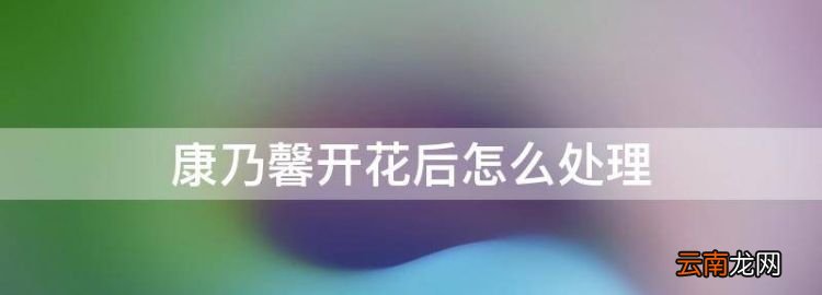 康乃馨開(kāi)花后怎么處理，康乃馨開(kāi)完后怎么處理