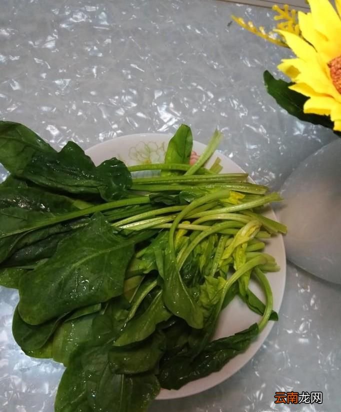 怎樣做美味的菠菜蒸蛋