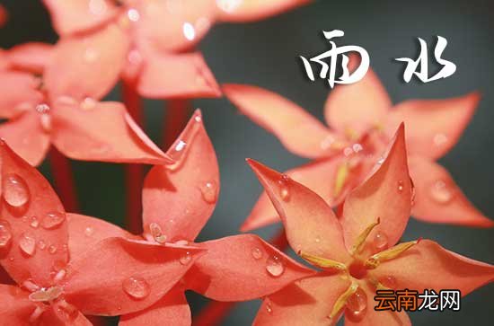 關(guān)于雨水的語錄