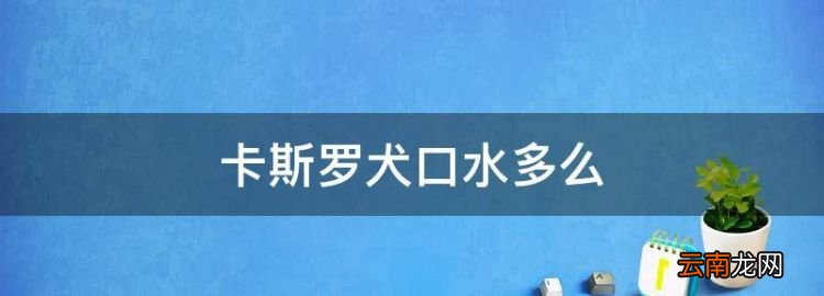 卡斯羅犬口水多么，杜高與卡斯羅的性格對(duì)比