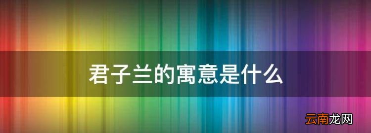 君子蘭的寓意是什么，君子蘭寓意及花語喻人
