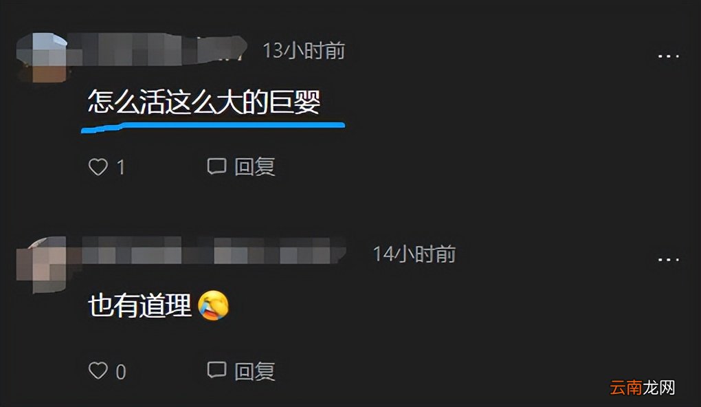 坐出租車不夠錢，男子一番話，民警直接沉默：送回去？