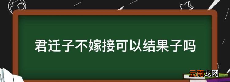 君遷子不嫁接可以結(jié)果子