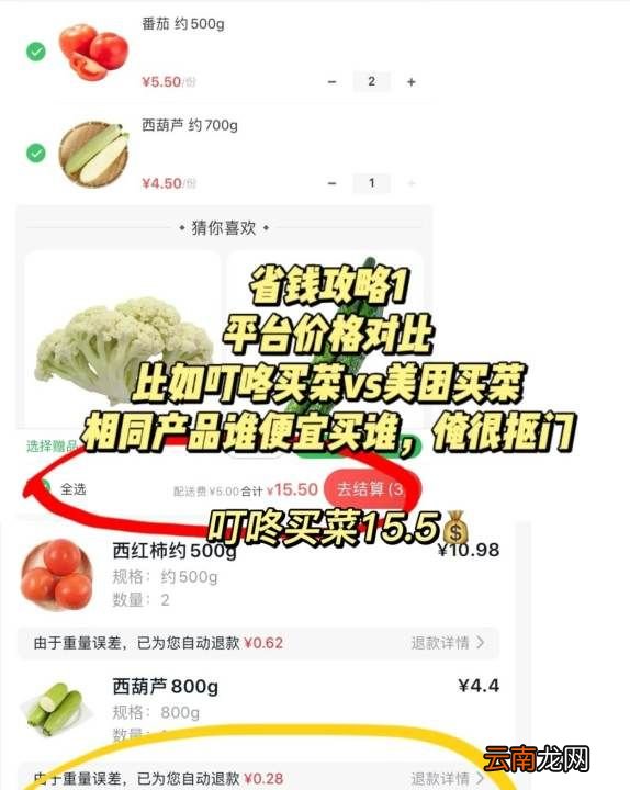 焗飯的做法與成本，芝士家常吃法制作